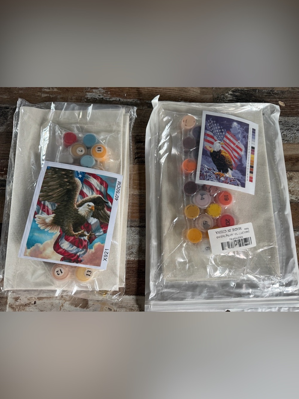 2 NWT Eagle Paint-by-Number Canvas Kit with Red, Blue & Yellow Paints